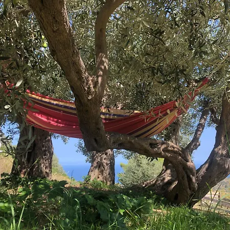 Orto Raccolto Bed & Breakfast *